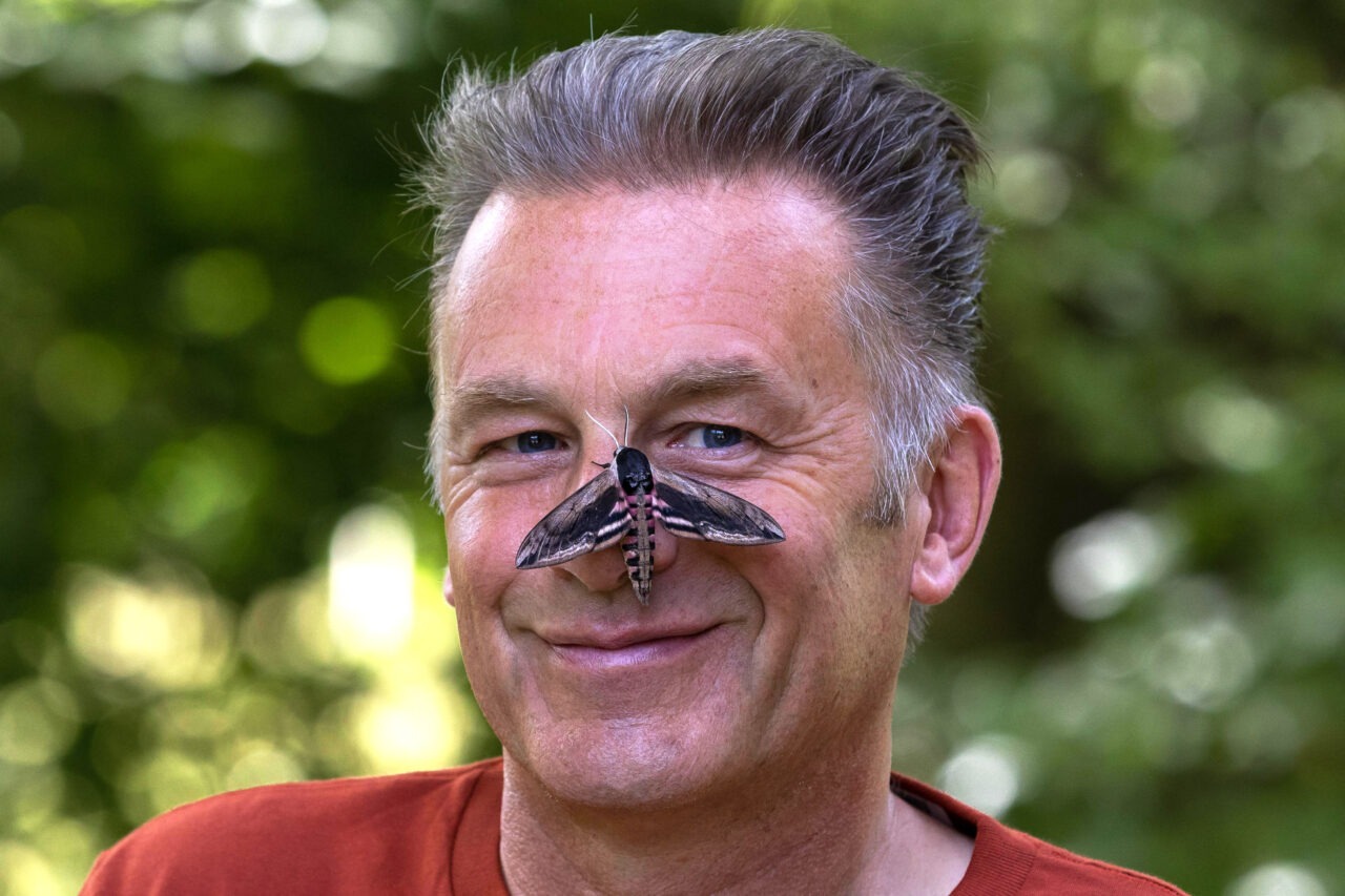 Chris Packham voting for the Brimstone